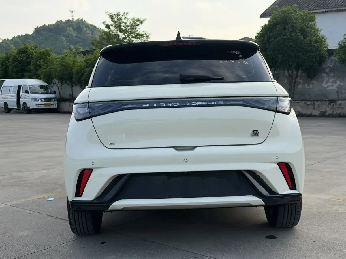 2023 BYD Dolphin BEV 44.928KWH,autocango,china used car exporter,china ev exporter,chinese used car exporter,chinese used ev exporter