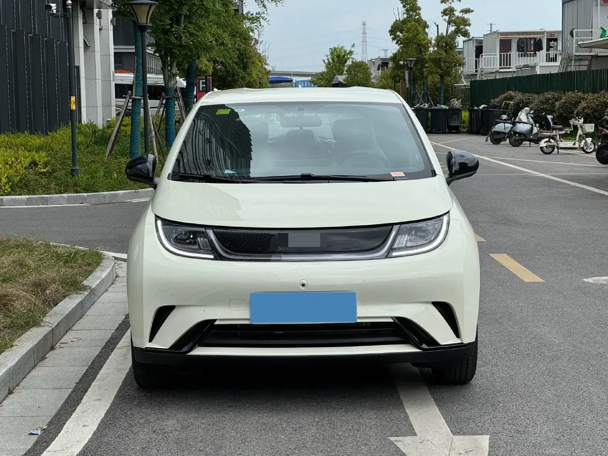 2025 BYD Dolphin BEV 44.928KWH,autocango,china used car exporter,china ev exporter,chinese used car exporter,chinese used ev exporter