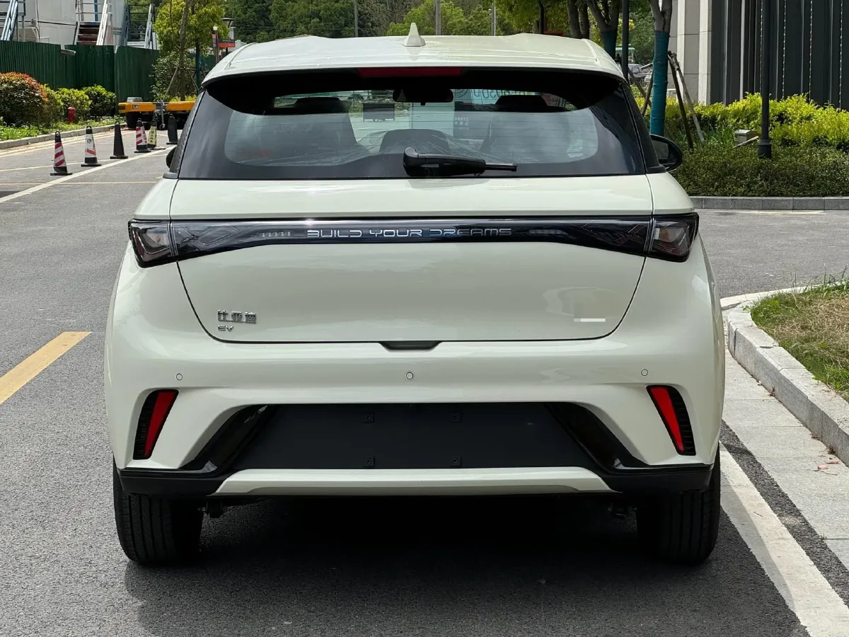 2025 BYD Dolphin BEV 44.928KWH,autocango,china used car exporter,china ev exporter,chinese used car exporter,chinese used ev exporter