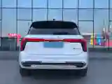 2021 HongQi E-HS9 BEV 99KWH