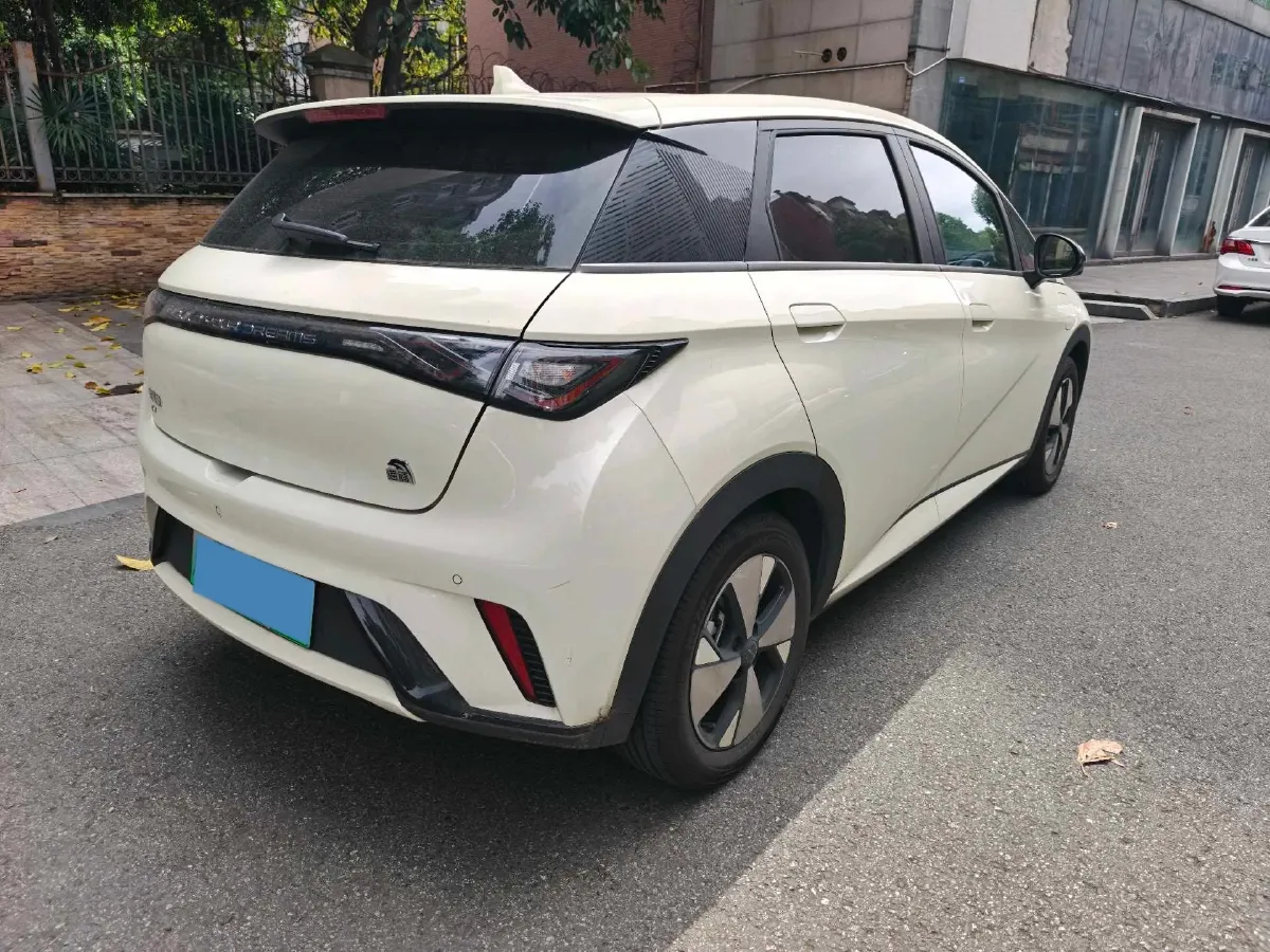 2023 BYD Dolphin BEV 44.928KWH,autocango,china used car exporter,china ev exporter,chinese used car exporter,chinese used ev exporter