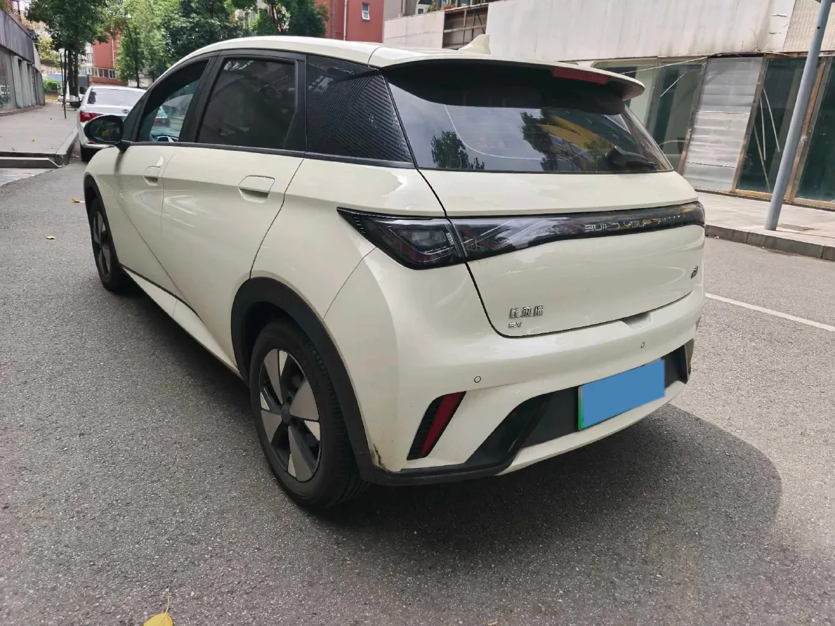 2023 BYD Dolphin BEV 44.928KWH,autocango,china used car exporter,china ev exporter,chinese used car exporter,chinese used ev exporter