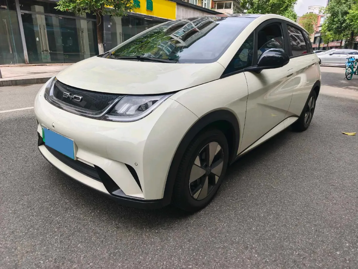 2023 BYD Dolphin BEV 44.928KWH,autocango,china used car exporter,china ev exporter,chinese used car exporter,chinese used ev exporter