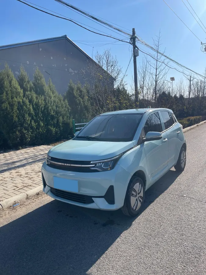2021 Levdeo Mango BEV 17.28KWH,autocango,china used car exporter,china ev exporter,chinese used car exporter,chinese used ev exporter