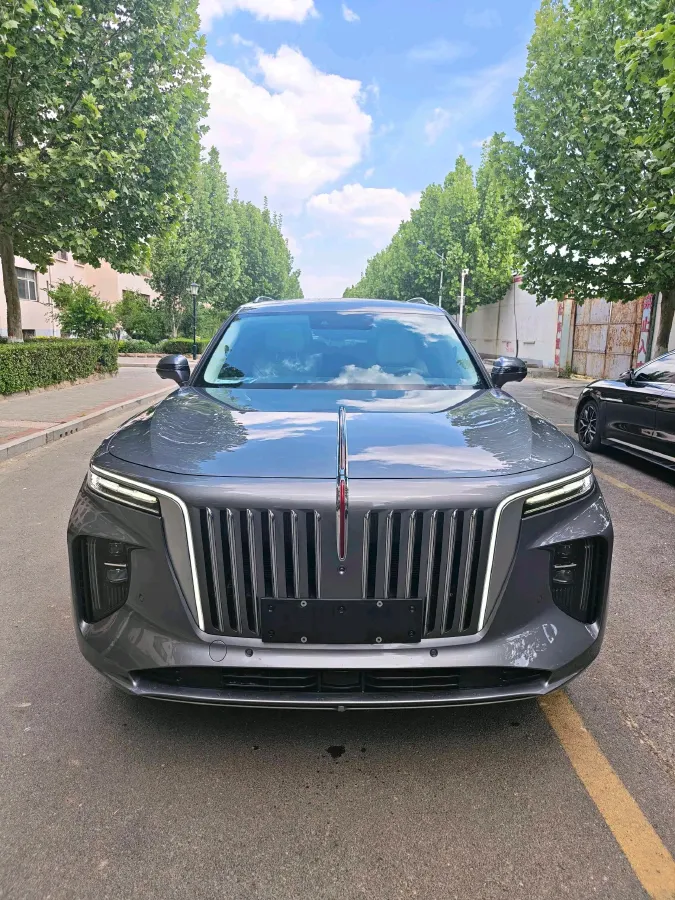2021 HongQi E-HS9 BEV 84KWH,autocango,china used car exporter,china ev exporter,chinese used car exporter,chinese used ev exporter