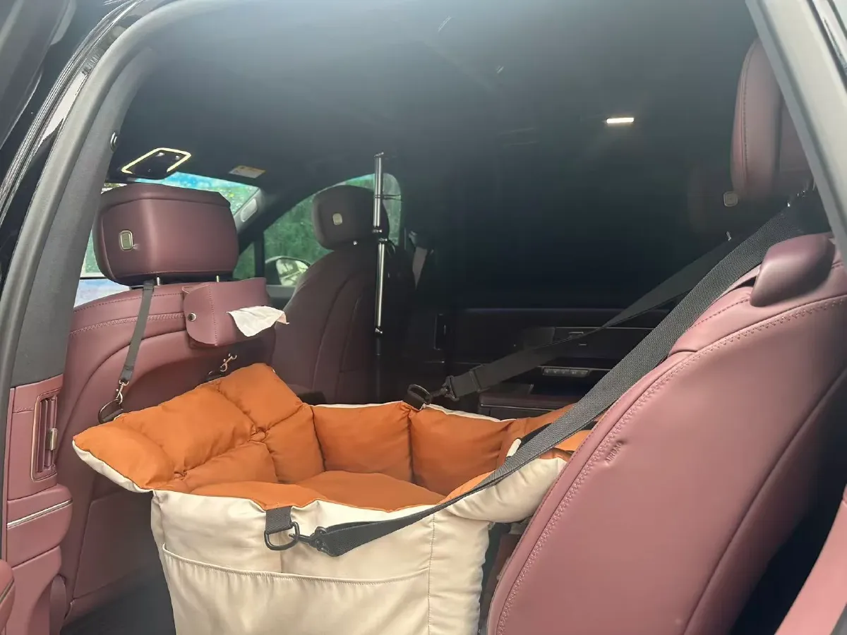 2026 NIO ES8 BEV,autocango,china used car exporter,china ev exporter,chinese used car exporter,chinese used ev exporter