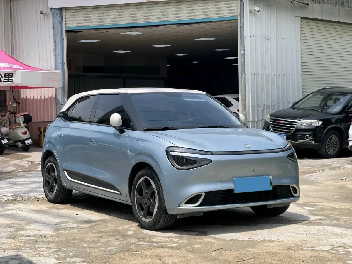 2024 DongFeng Nammi 01 BEV 42.3KWH,autocango,china used car exporter,china ev exporter,chinese used car exporter,chinese used ev exporter