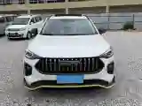 2021 Haval Rabbit 1.5T 184HP L4 7DCT