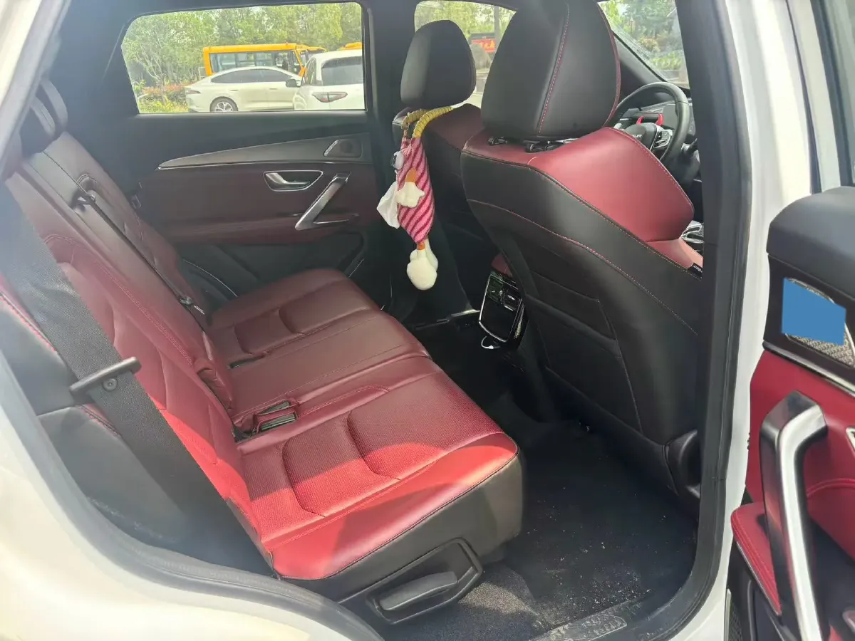 2021 Haval H6 2.0T 224HP L4 7DCT,autocango,china used car exporter,china ev exporter,chinese used car exporter,chinese used ev exporter