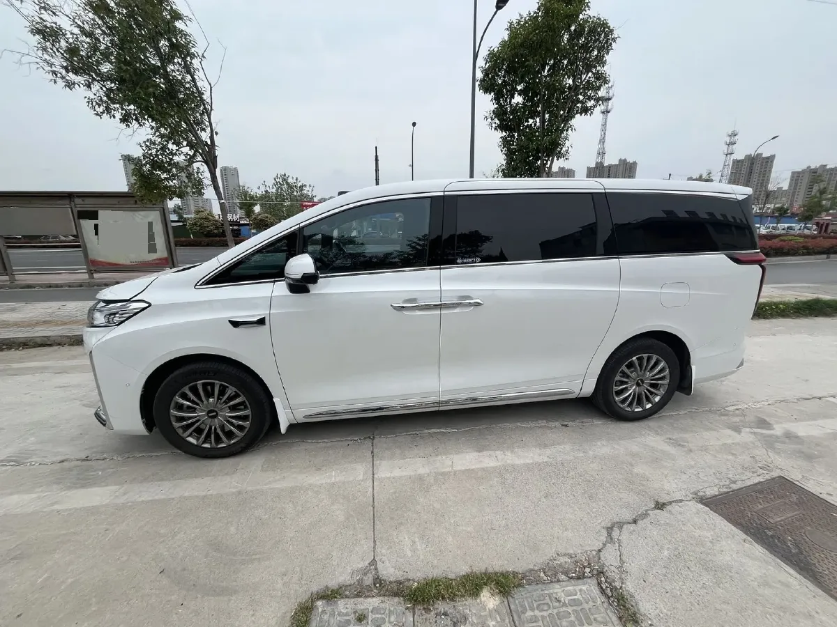 2025 WEY HighMountain 1.5T 170HP L4 4DHT PHEV,autocango,china used car exporter,china ev exporter,chinese used car exporter,chinese used ev exporter