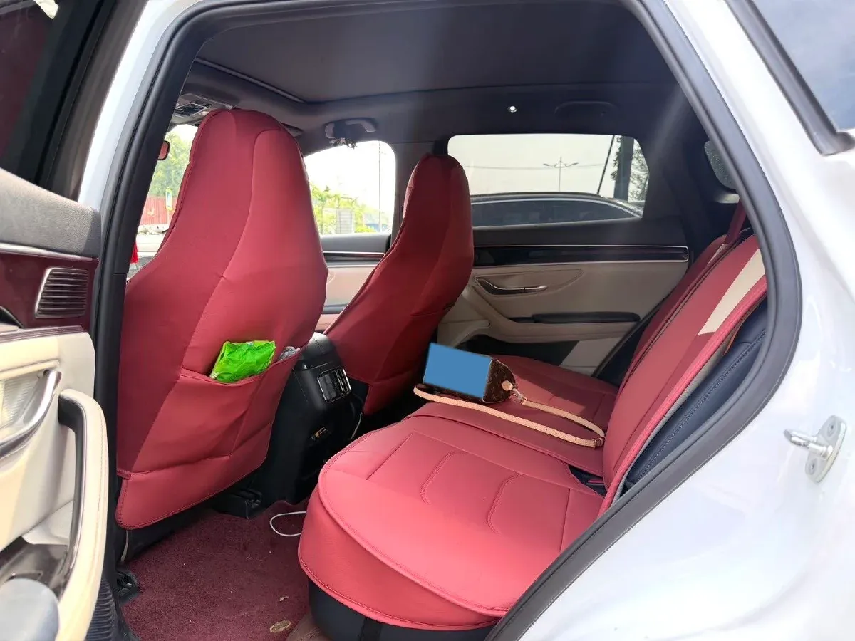 2021 BYD Qin BEV 53.56KWH,autocango,china used car exporter,china ev exporter,chinese used car exporter,chinese used ev exporter