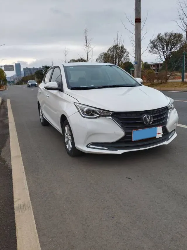 2019 ChangAn Alsvin 1.5L 107HP L4 5DCT,autocango,china used car exporter,china ev exporter,chinese used car exporter,chinese used ev exporter