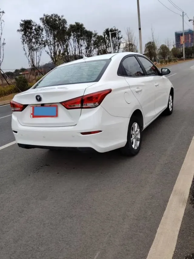 2019 ChangAn Alsvin 1.5L 107HP L4 5DCT,autocango,china used car exporter,china ev exporter,chinese used car exporter,chinese used ev exporter