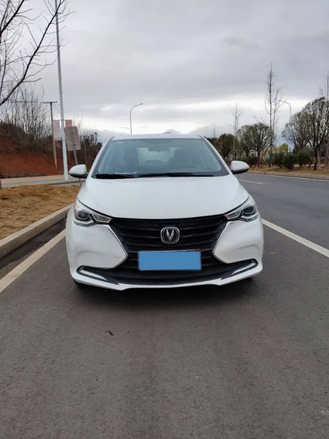 2019 ChangAn Alsvin 1.5L 107HP L4 5DCT,autocango,china used car exporter,china ev exporter,chinese used car exporter,chinese used ev exporter