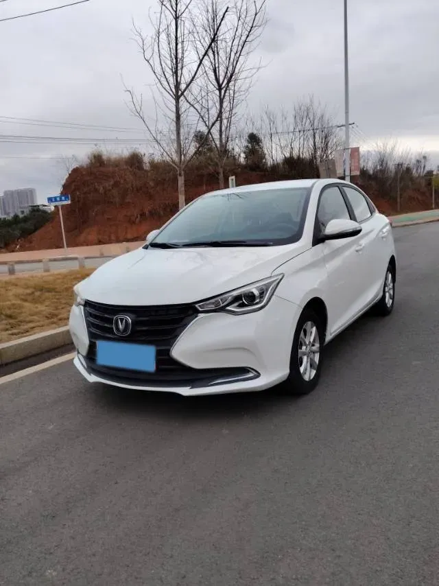 2019 ChangAn Alsvin 1.5L 107HP L4 5DCT,autocango,china used car exporter,china ev exporter,chinese used car exporter,chinese used ev exporter
