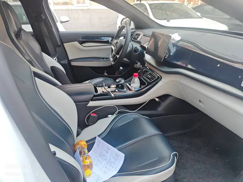 2021 DongFeng FuKang e Elysee BEV 38.4KWH,autocango,china used car exporter,china ev exporter,chinese used car exporter,chinese used ev exporter