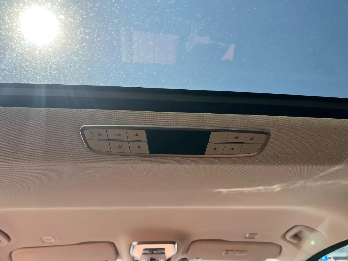 2024 HongQi HQ9 2.0T 163HP L4 1DHT PHEV 20.14KWH,autocango,china used car exporter,china ev exporter,chinese used car exporter,chinese used ev exporter