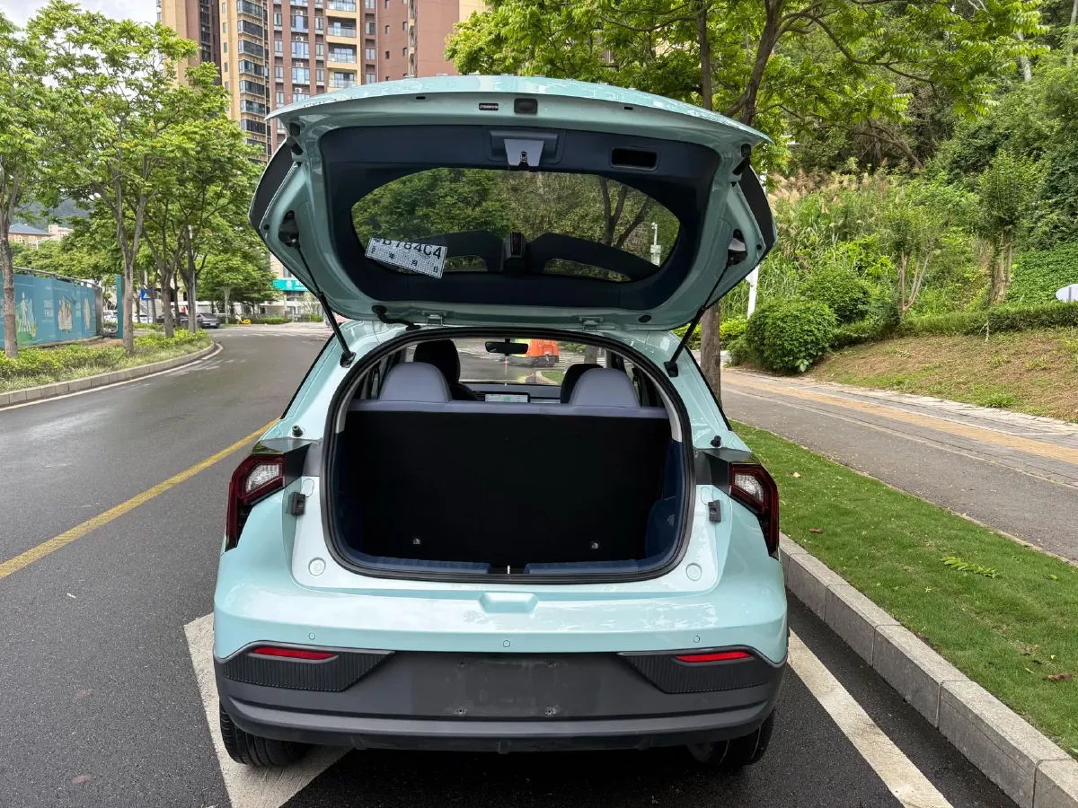 2022 Geometry E BEV 39.4KWH,autocango,china used car exporter,china ev exporter,chinese used car exporter,chinese used ev exporter