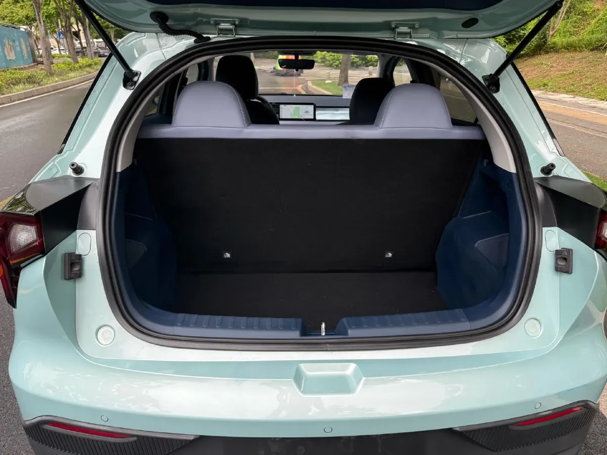 2022 Geometry E BEV 39.4KWH,autocango,china used car exporter,china ev exporter,chinese used car exporter,chinese used ev exporter