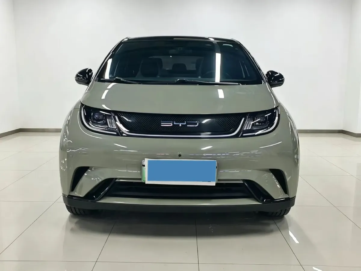2021 BYD Yuan Pro BEV 50.1KWH,autocango,china used car exporter,china ev exporter,chinese used car exporter,chinese used ev exporter