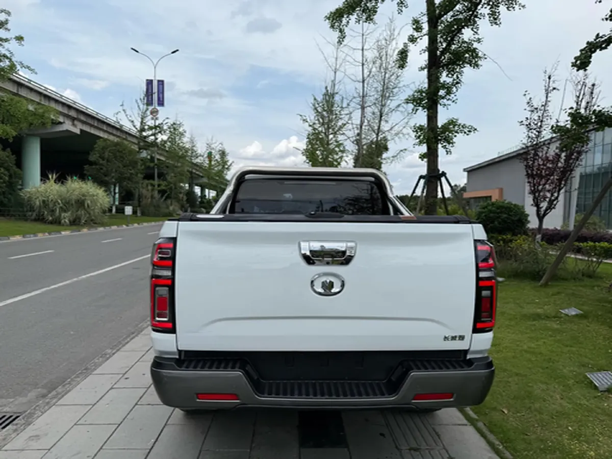 2019 Great Wall Poer 2.0T 190HP L4 8AT,autocango,china used car exporter,china ev exporter,chinese used car exporter,chinese used ev exporter