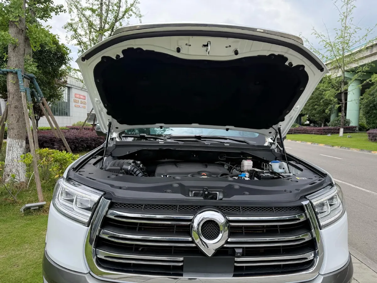 2019 Great Wall Poer 2.0T 190HP L4 8AT,autocango,china used car exporter,china ev exporter,chinese used car exporter,chinese used ev exporter