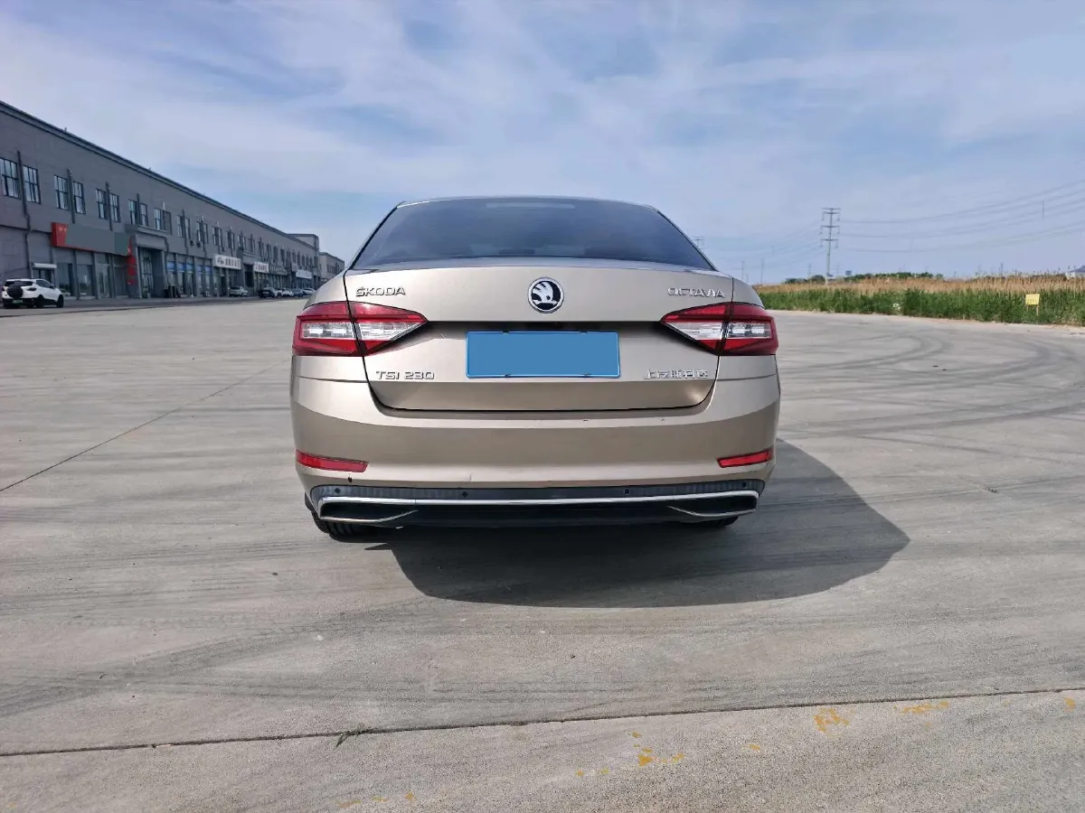 2018 Skoda Octavia 1.2T 116HP L4 7DCT,autocango,china used car exporter,china ev exporter,chinese used car exporter,chinese used ev exporter