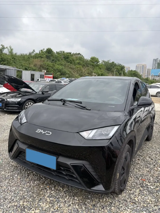 2023 BYD Seagull BEV 30.08KWH,autocango,china used car exporter,china ev exporter,chinese used car exporter,chinese used ev exporter