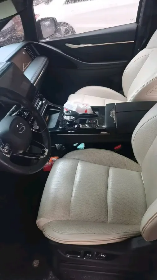 2023 GAC Trumpchi M8 2.0T 252HP L4 8AT,autocango,china used car exporter,china ev exporter,chinese used car exporter,chinese used ev exporter