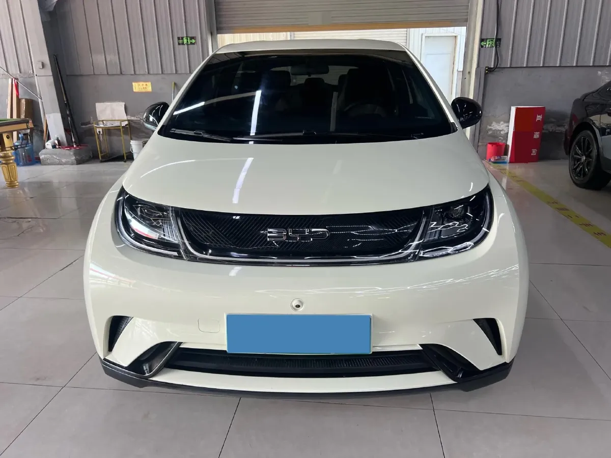 2025 BYD Dolphin BEV 44.928KWH,autocango,china used car exporter,china ev exporter,chinese used car exporter,chinese used ev exporter