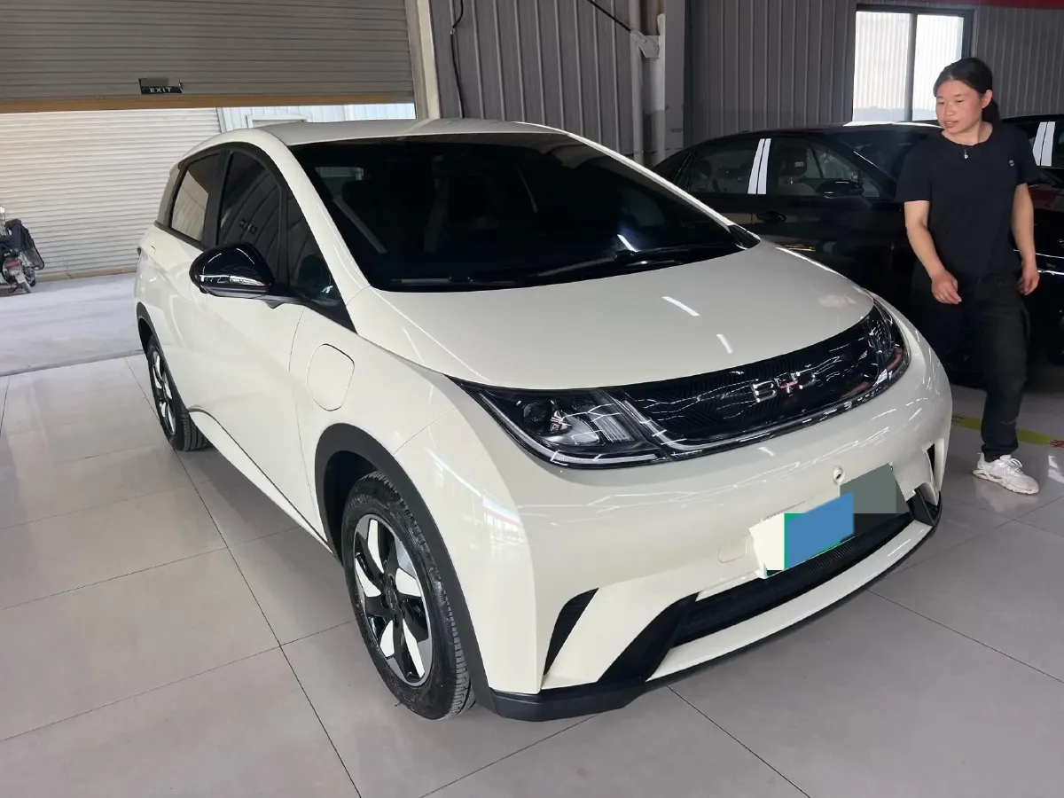 2025 BYD Dolphin BEV 44.928KWH,autocango,china used car exporter,china ev exporter,chinese used car exporter,chinese used ev exporter