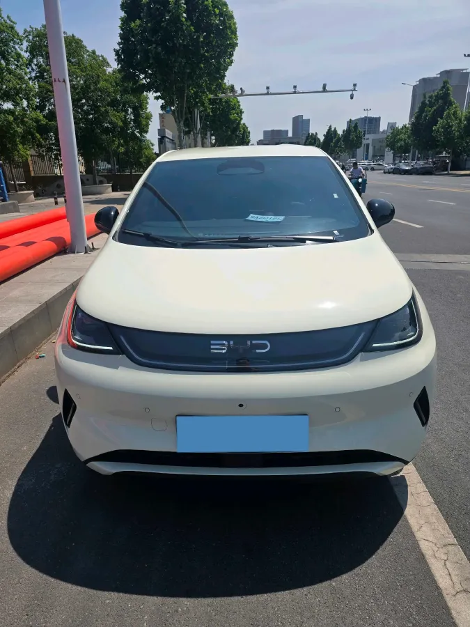 2025 BYD Dolphin BEV 45.12KWH,autocango,china used car exporter,china ev exporter,chinese used car exporter,chinese used ev exporter