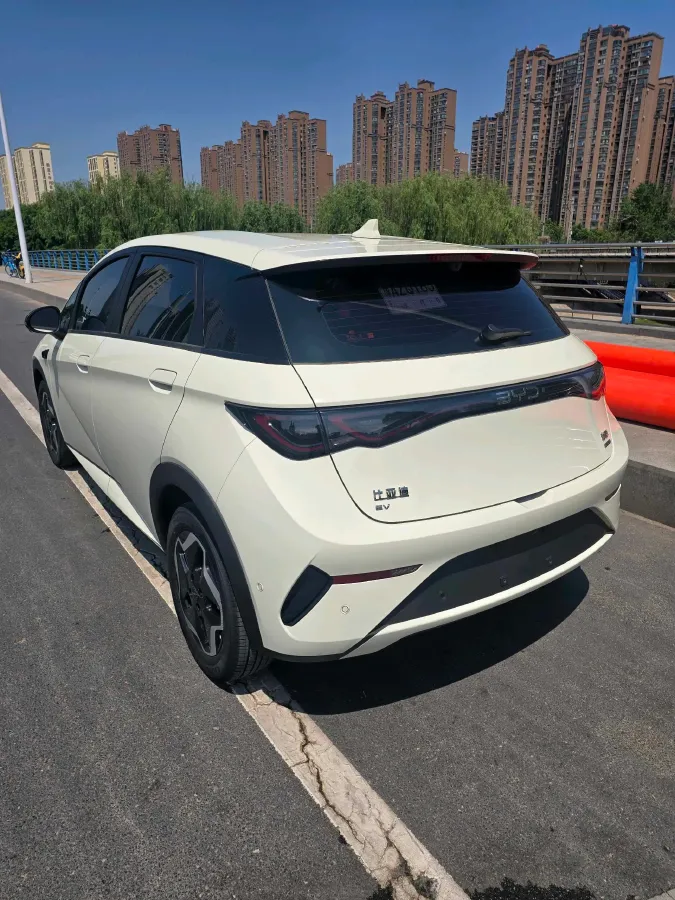 2025 BYD Dolphin BEV 45.12KWH,autocango,china used car exporter,china ev exporter,chinese used car exporter,chinese used ev exporter