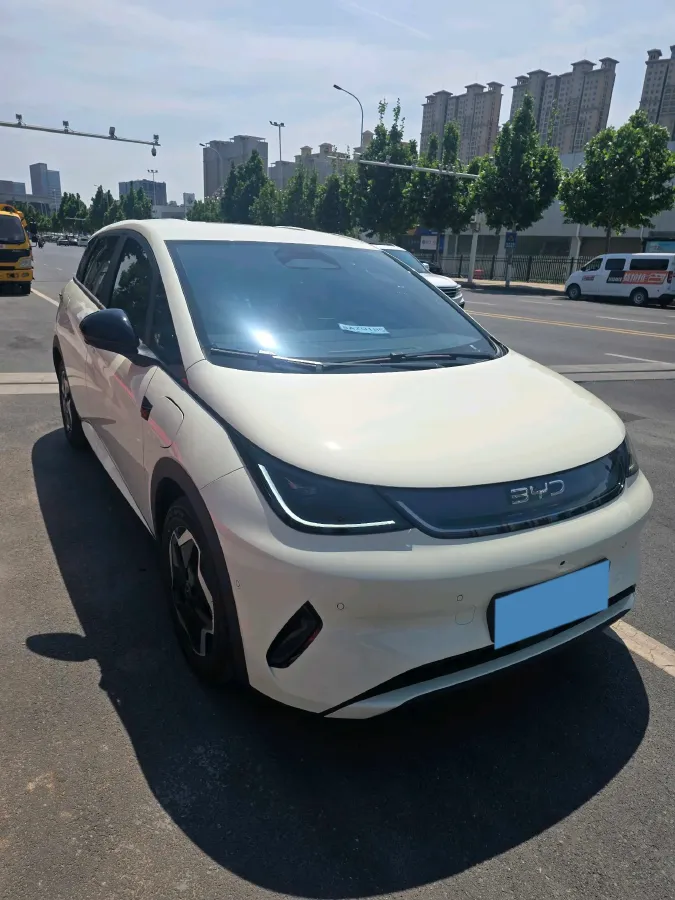 2025 BYD Dolphin BEV 45.12KWH,autocango,china used car exporter,china ev exporter,chinese used car exporter,chinese used ev exporter