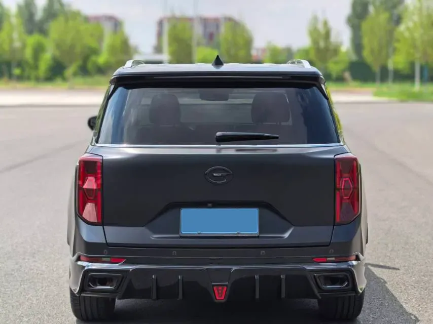 2024 GAC Trumpchi GS8 2.0T 252HP L4 8AT,autocango,china used car exporter,china ev exporter,chinese used car exporter,chinese used ev exporter