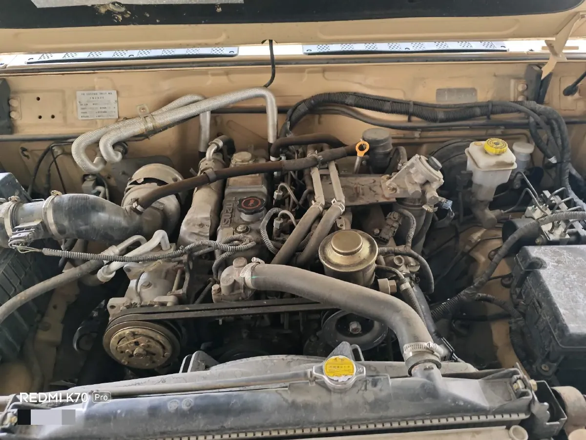 2019 BAW Warrior Pickup 2.8T 109HP L4 5MT,autocango,china used car exporter,china ev exporter,chinese used car exporter,chinese used ev exporter