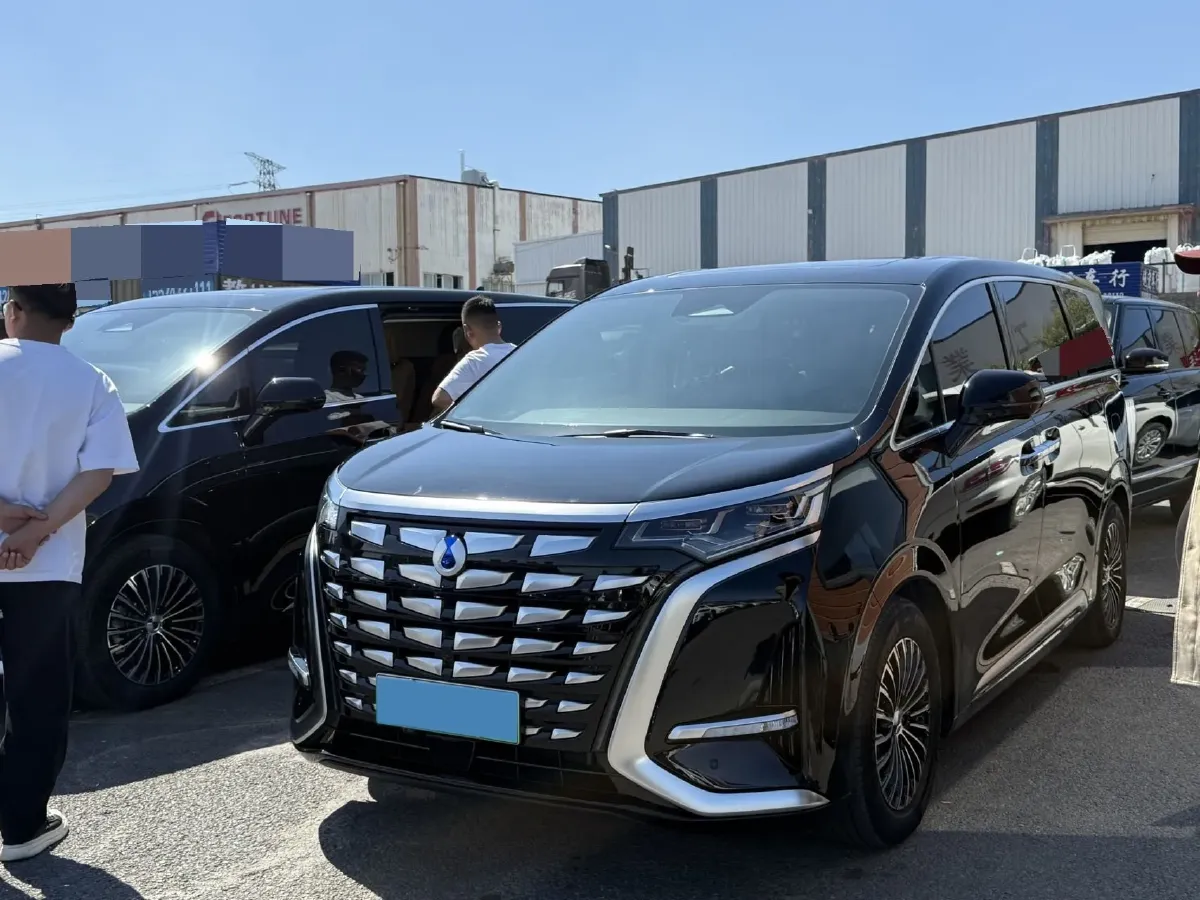 2024 Denza D9 1.5T 139HP L4 E-CVT PHEV 40KWH,autocango,china used car exporter,china ev exporter,chinese used car exporter,chinese used ev exporter