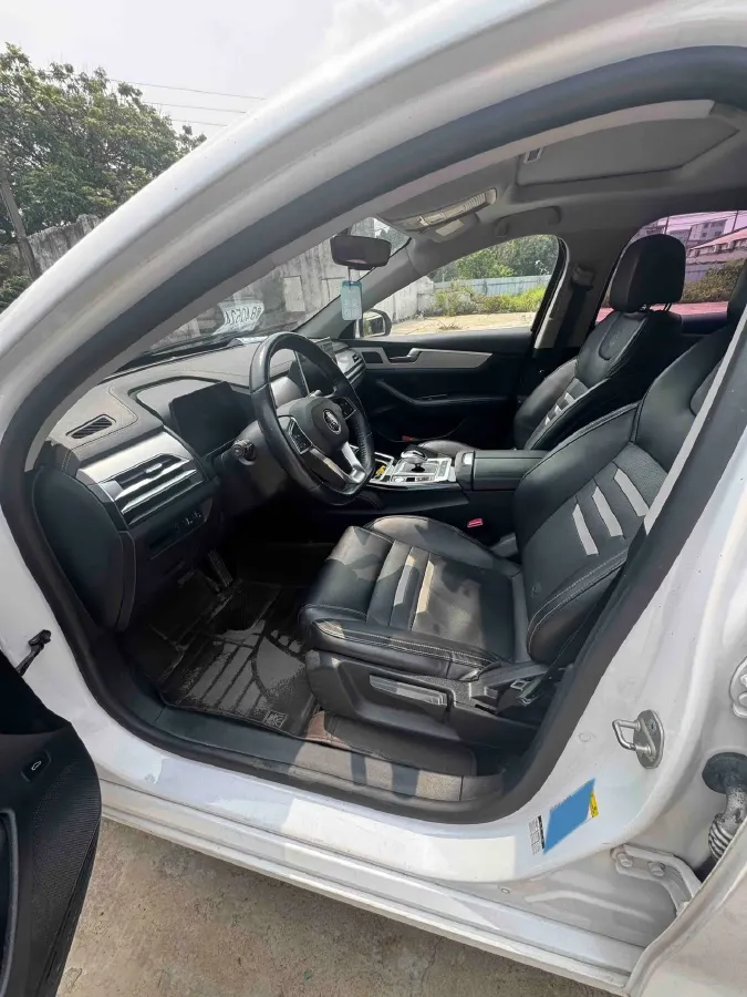 2019 BYD Qin Pro BEV 53.1KWH,autocango,china used car exporter,china ev exporter,chinese used car exporter,chinese used ev exporter