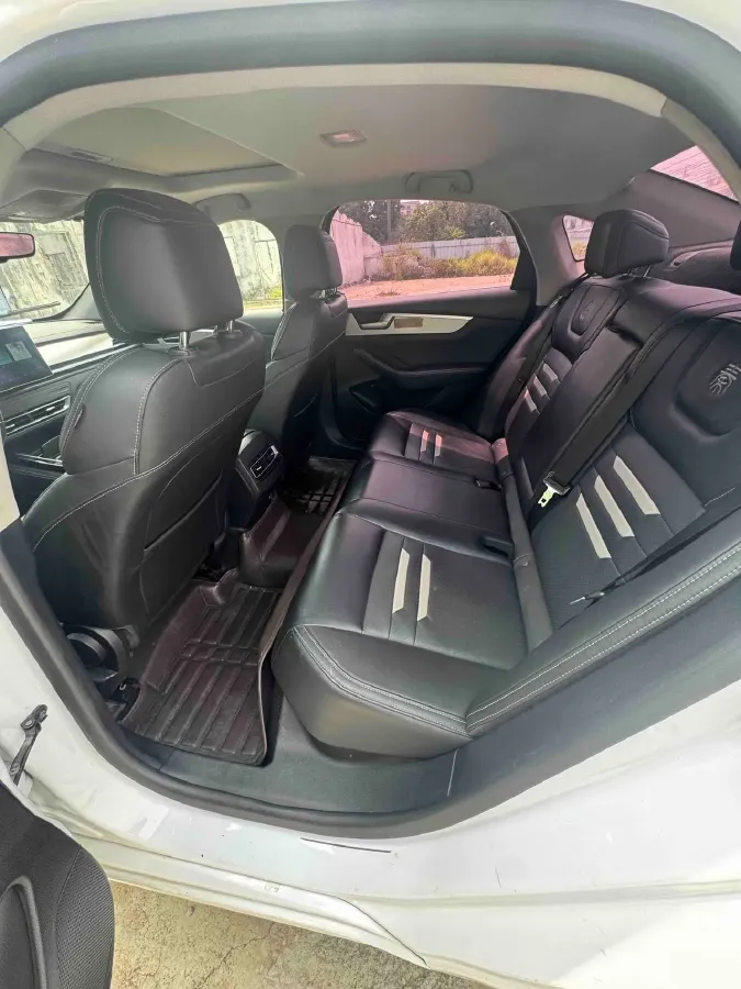 2019 BYD Qin Pro BEV 53.1KWH,autocango,china used car exporter,china ev exporter,chinese used car exporter,chinese used ev exporter