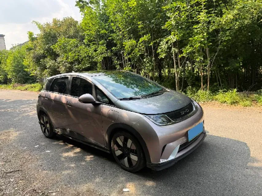 2021 BYD e2 BEV 43.2KWH,autocango,china used car exporter,china ev exporter,chinese used car exporter,chinese used ev exporter
