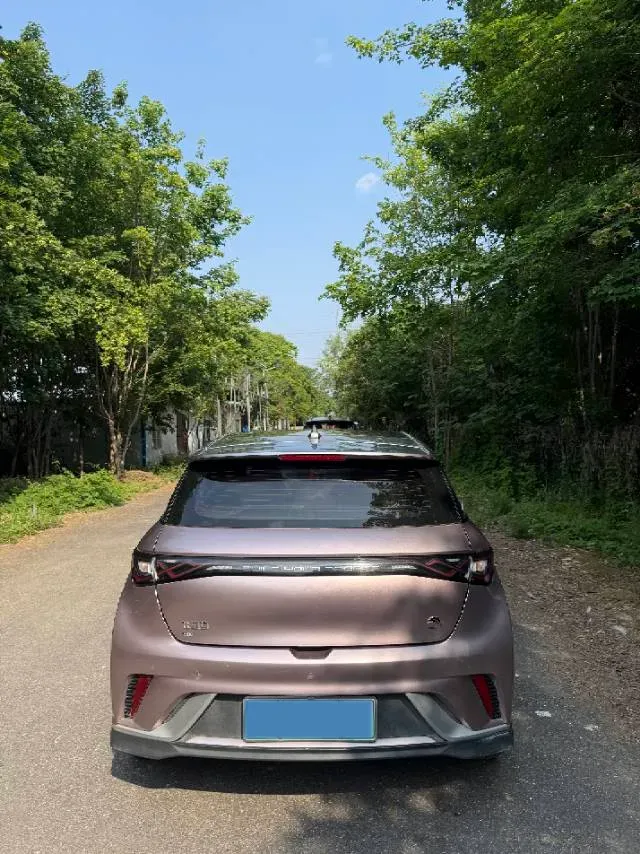 2021 BYD e2 BEV 43.2KWH,autocango,china used car exporter,china ev exporter,chinese used car exporter,chinese used ev exporter