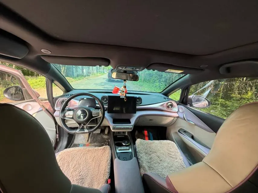 2021 BYD e2 BEV 43.2KWH,autocango,china used car exporter,china ev exporter,chinese used car exporter,chinese used ev exporter