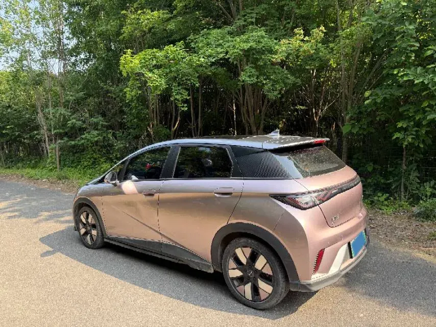 2021 BYD e2 BEV 43.2KWH,autocango,china used car exporter,china ev exporter,chinese used car exporter,chinese used ev exporter