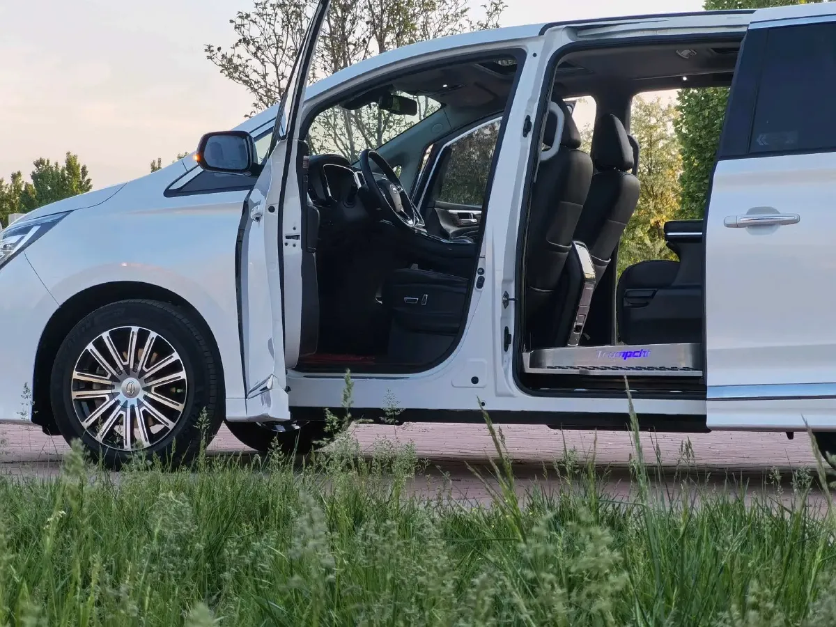 2021 GAC Trumpchi M8 2.0T 252HP L4 8AT,autocango,china used car exporter,china ev exporter,chinese used car exporter,chinese used ev exporter