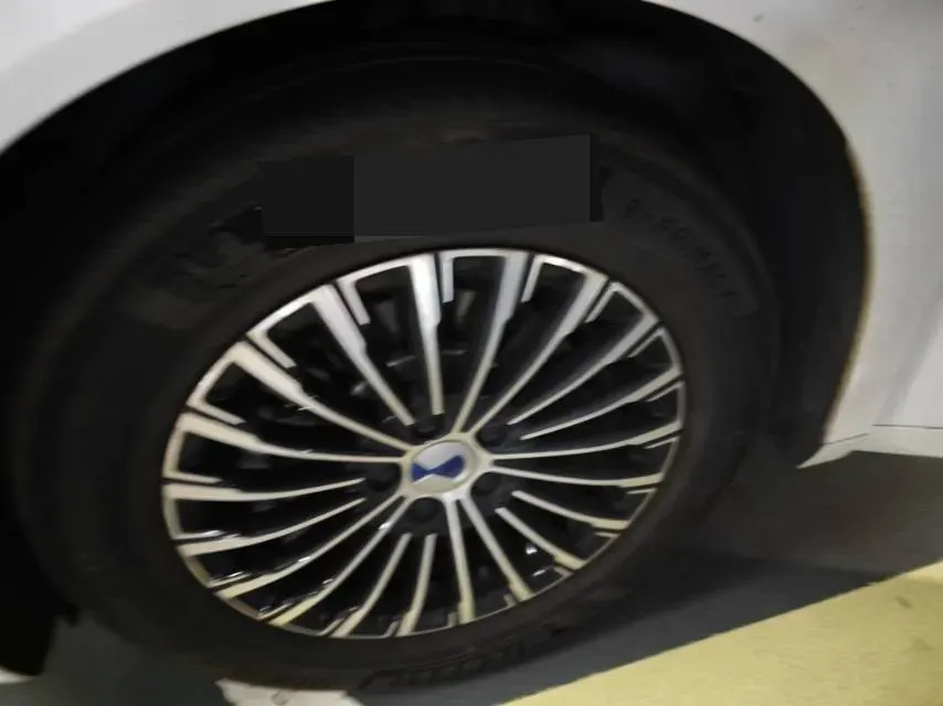 2025 Denza D9 1.5T 156HP L4 E-CVT PHEV 40KWH,autocango,china used car exporter,china ev exporter,chinese used car exporter,chinese used ev exporter