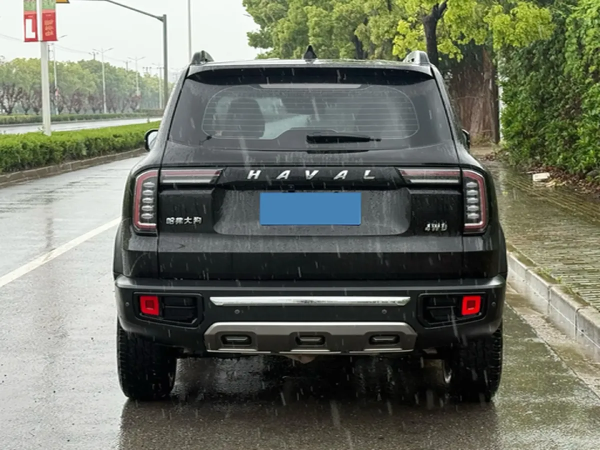 2021 Haval Dargo 2.0T 211HP L4 7DCT,autocango,china used car exporter,china ev exporter,chinese used car exporter,chinese used ev exporter