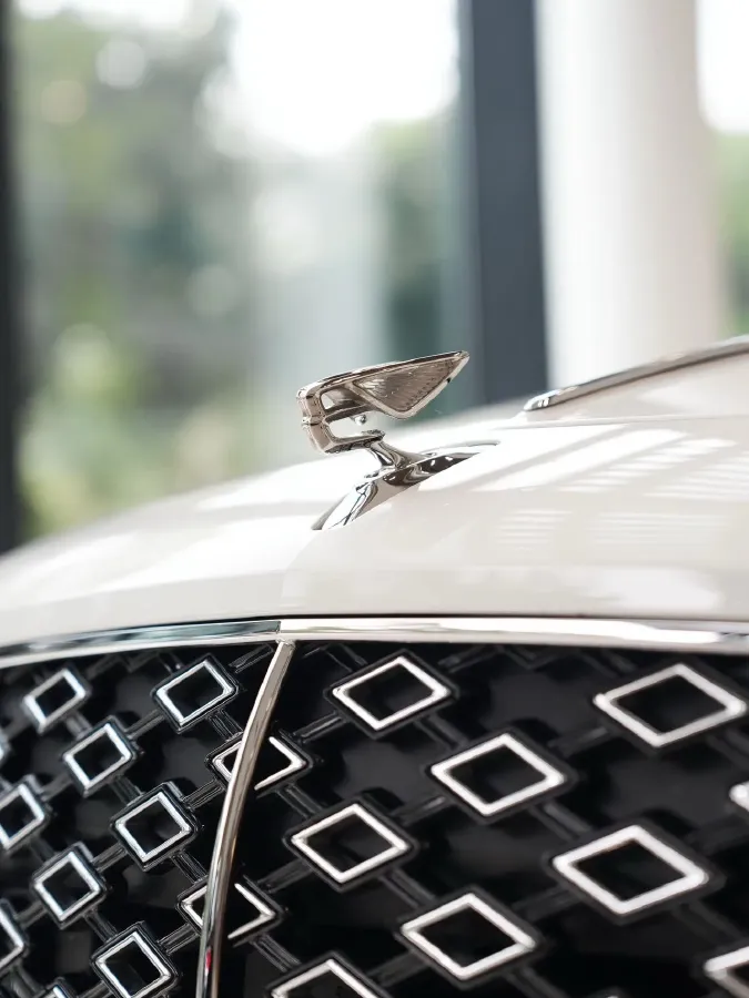 2025 Bentley Flying Spur 4.0T 600HP V8 8DCT PHEV 25.9KWH,autocango,china used car exporter,china ev exporter,chinese used car exporter,chinese used ev exporter