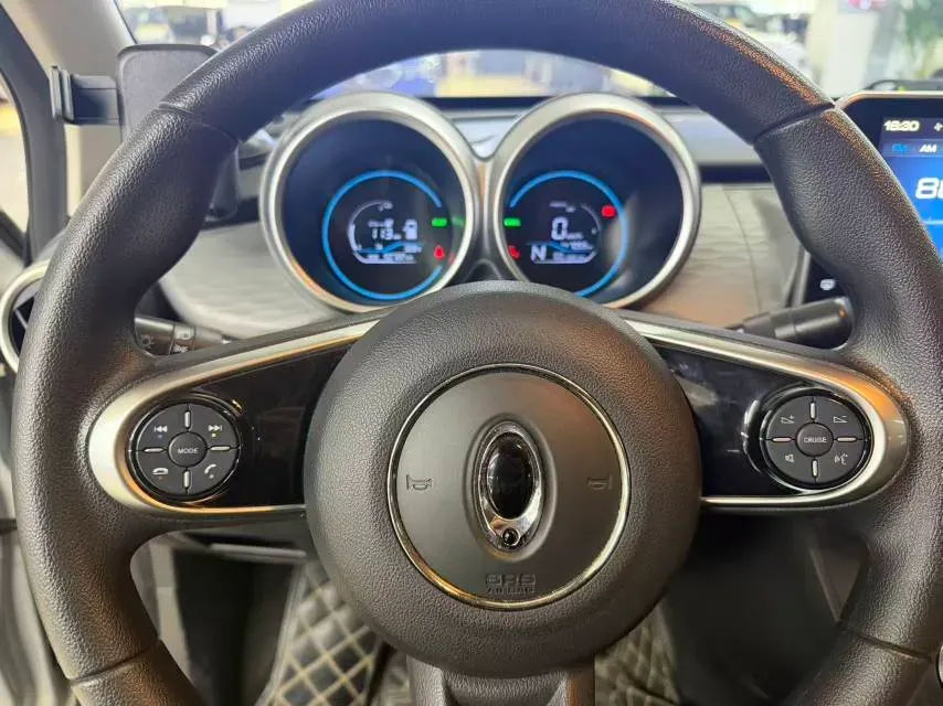 2019 Ora BlackCat BEV 33KWH,autocango,china used car exporter,china ev exporter,chinese used car exporter,chinese used ev exporter