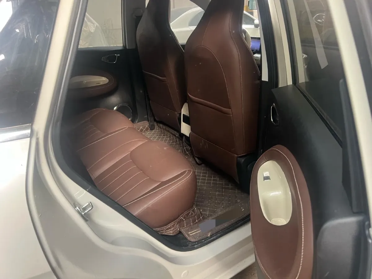 2023 WuLing BinGuo BEV 17.3KWH,autocango,china used car exporter,china ev exporter,chinese used car exporter,chinese used ev exporter