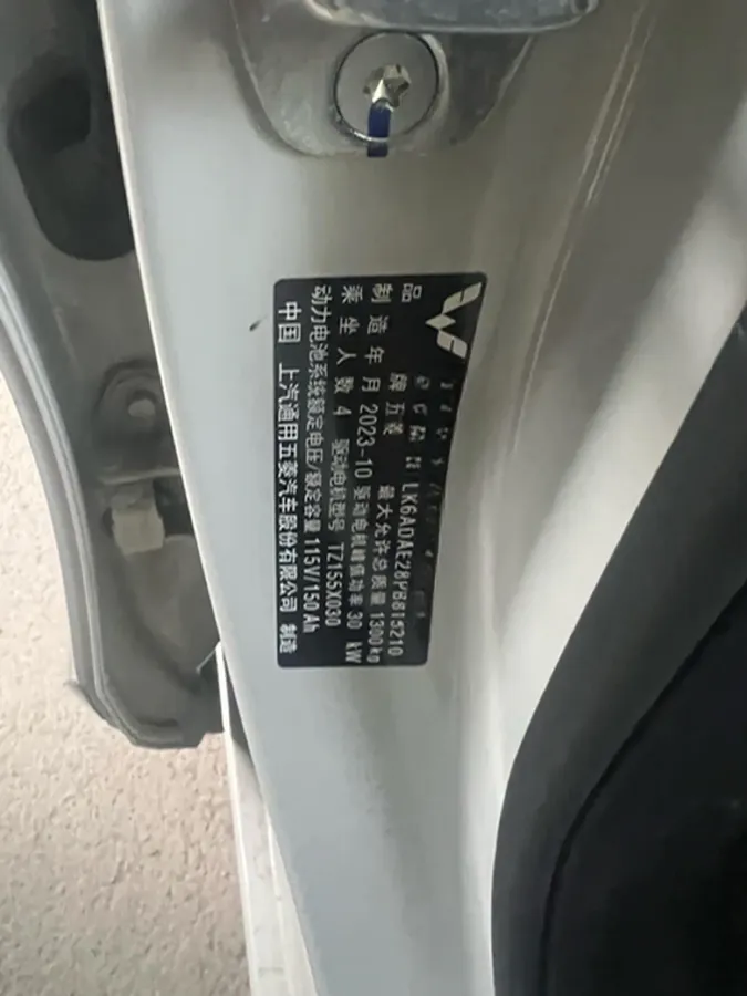 2023 WuLing BinGuo BEV 17.3KWH,autocango,china used car exporter,china ev exporter,chinese used car exporter,chinese used ev exporter